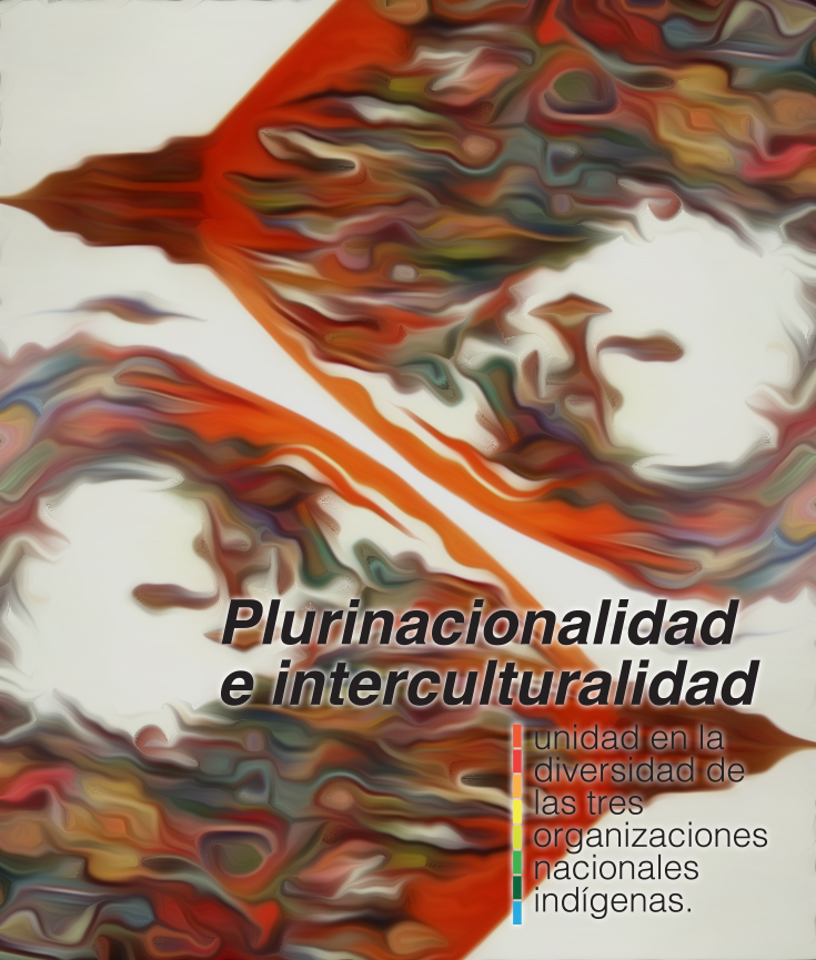 Plurinacionalidad e interculturalidad, unidad en la diversidad de las tres organizaciones nacionales indígenas
